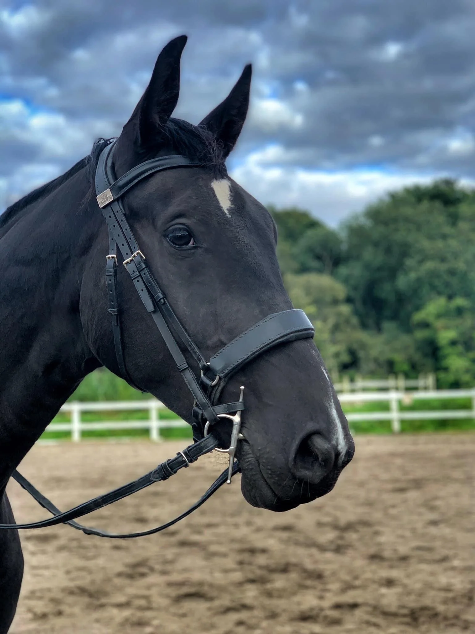 The Appeal to Nature Fallacy