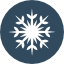 snowflake (3).png