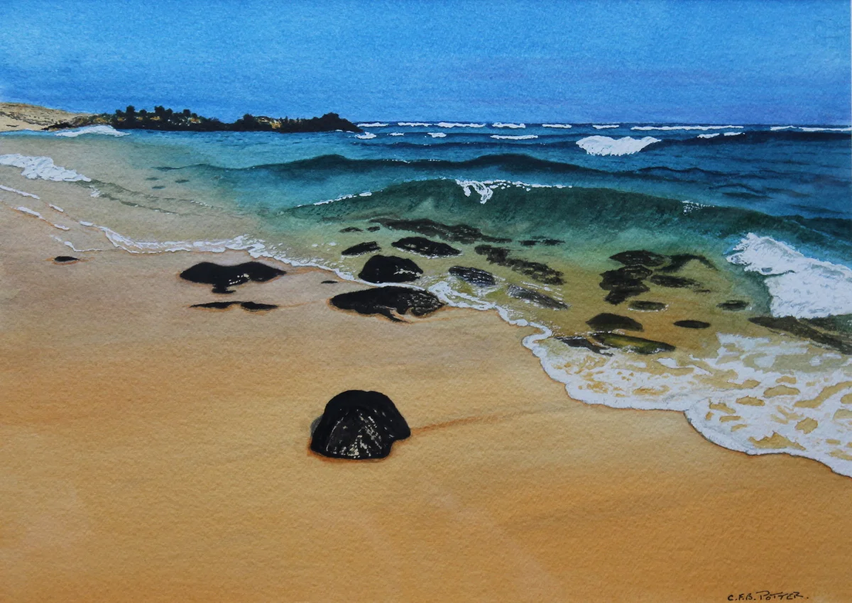 Beach on Kauai 10x14.75.jpg.jpg