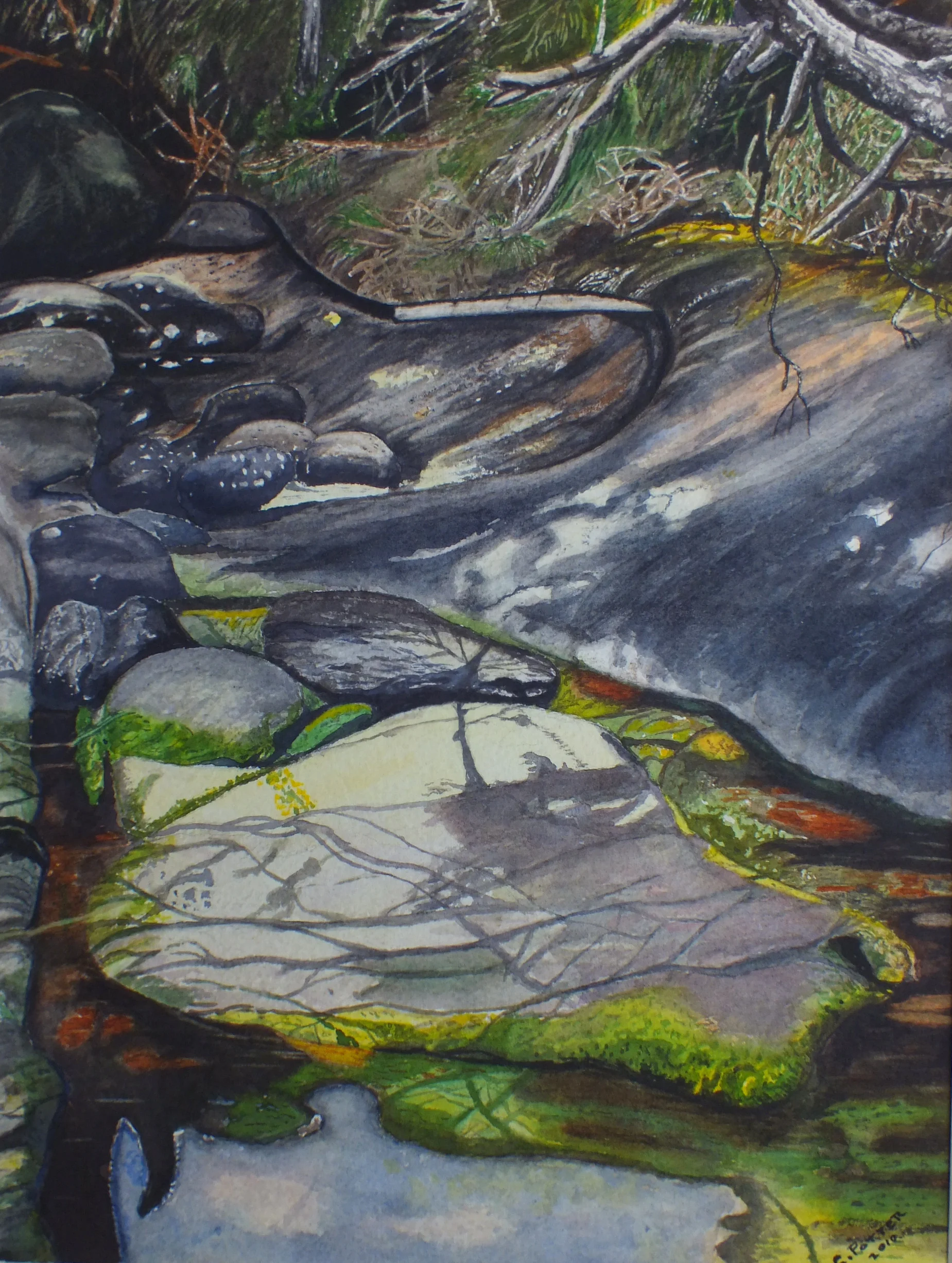 Galiano Shoreline 10.5x14.5.jpg.jpg
