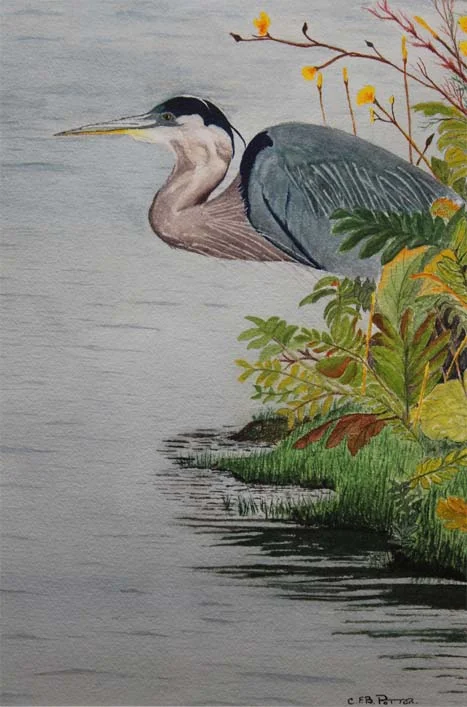 05-Blue Heron - Patience (10.5 x 14.5) SOLD.jpg