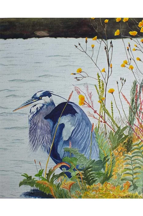 10-Heron on the Bank (10.5 x 13.5) SOLD.jpg