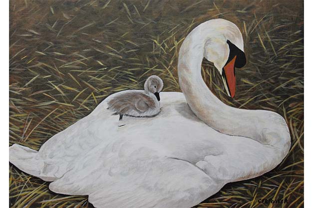 23- Swan and Cygnet.jpg (12 x 16) SOLD.jpg