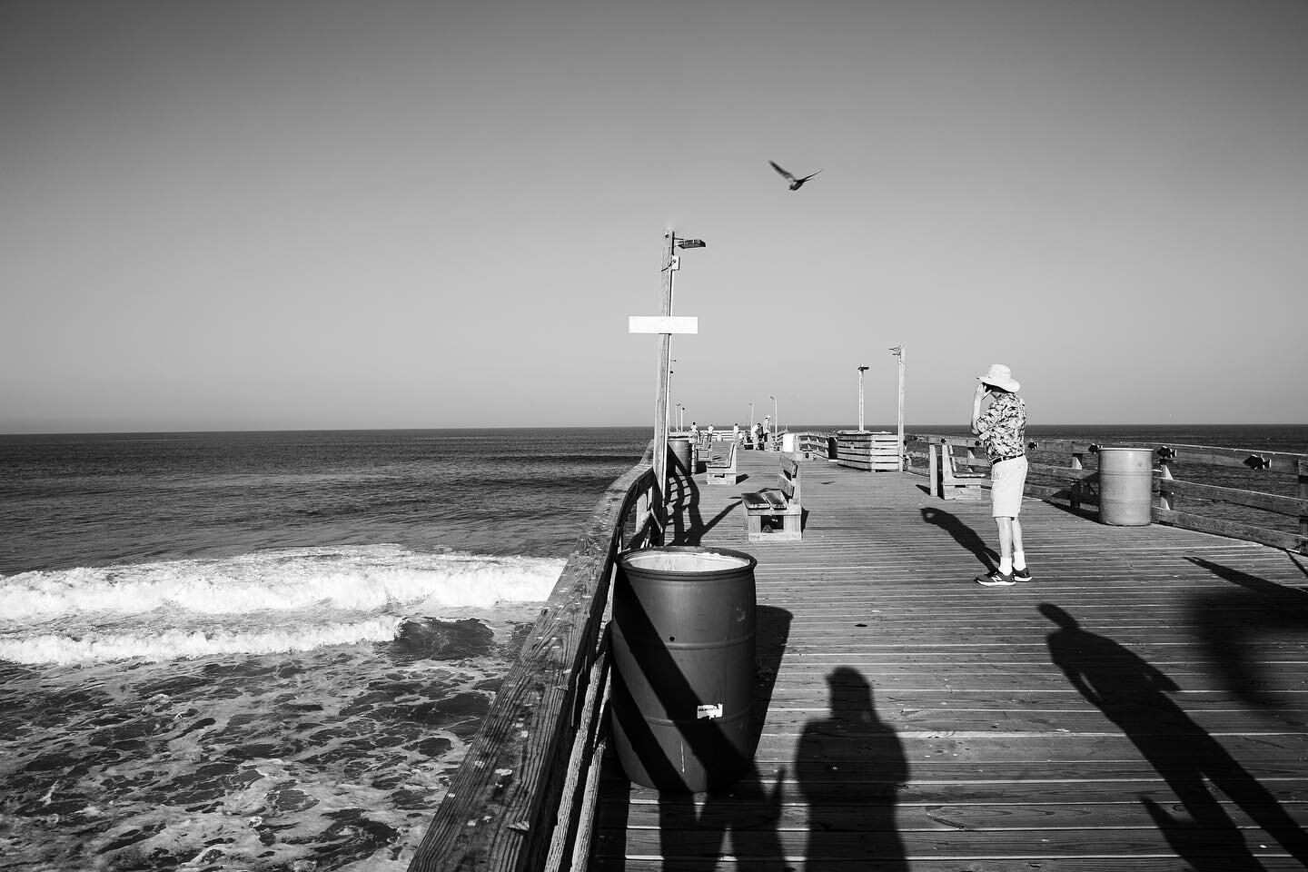 Avalon Pier again. Because it's that fucking timeless &amp; cool! Don't expect me to stop now, I could go on forever. .
.
.
#apakmedia #avalonpier #obxnc #seagullspotting #blackandwhitephotography #worldsbestbeaches #nofunhere #seahags #arcade #fucky