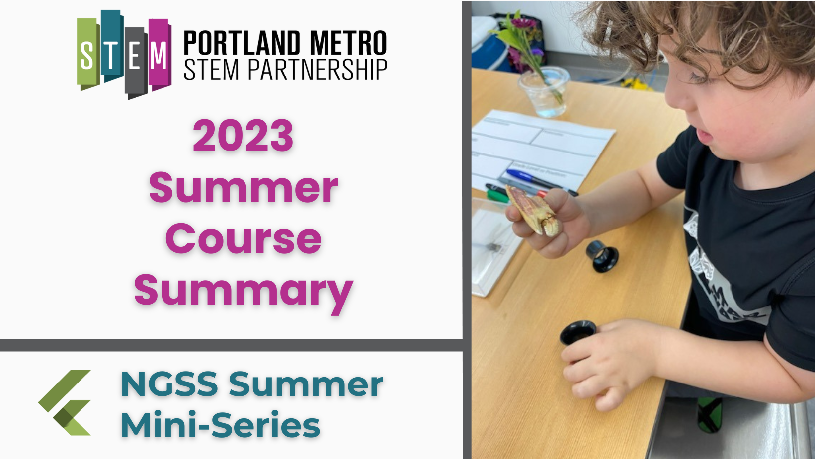 NGSS Mini-Series (Summer 2023)