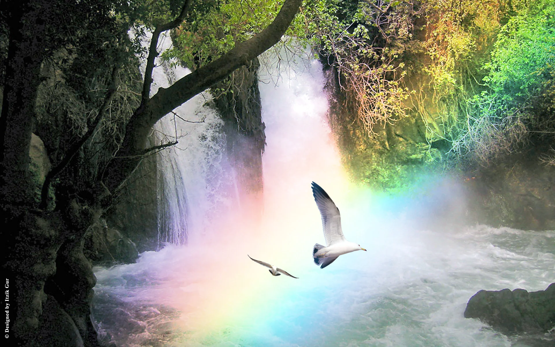 rainbow water.jpg