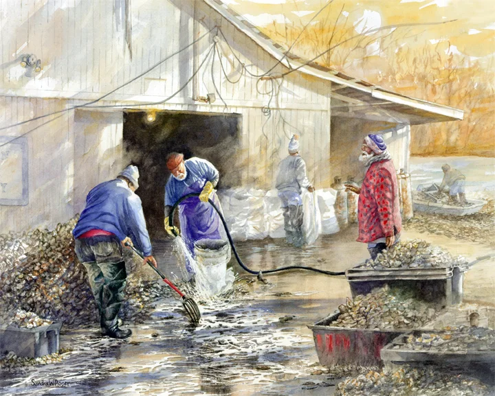 May River Oyster Pickers