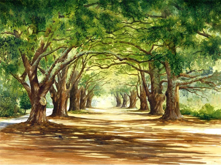 South Boundary, Aiken, SC
