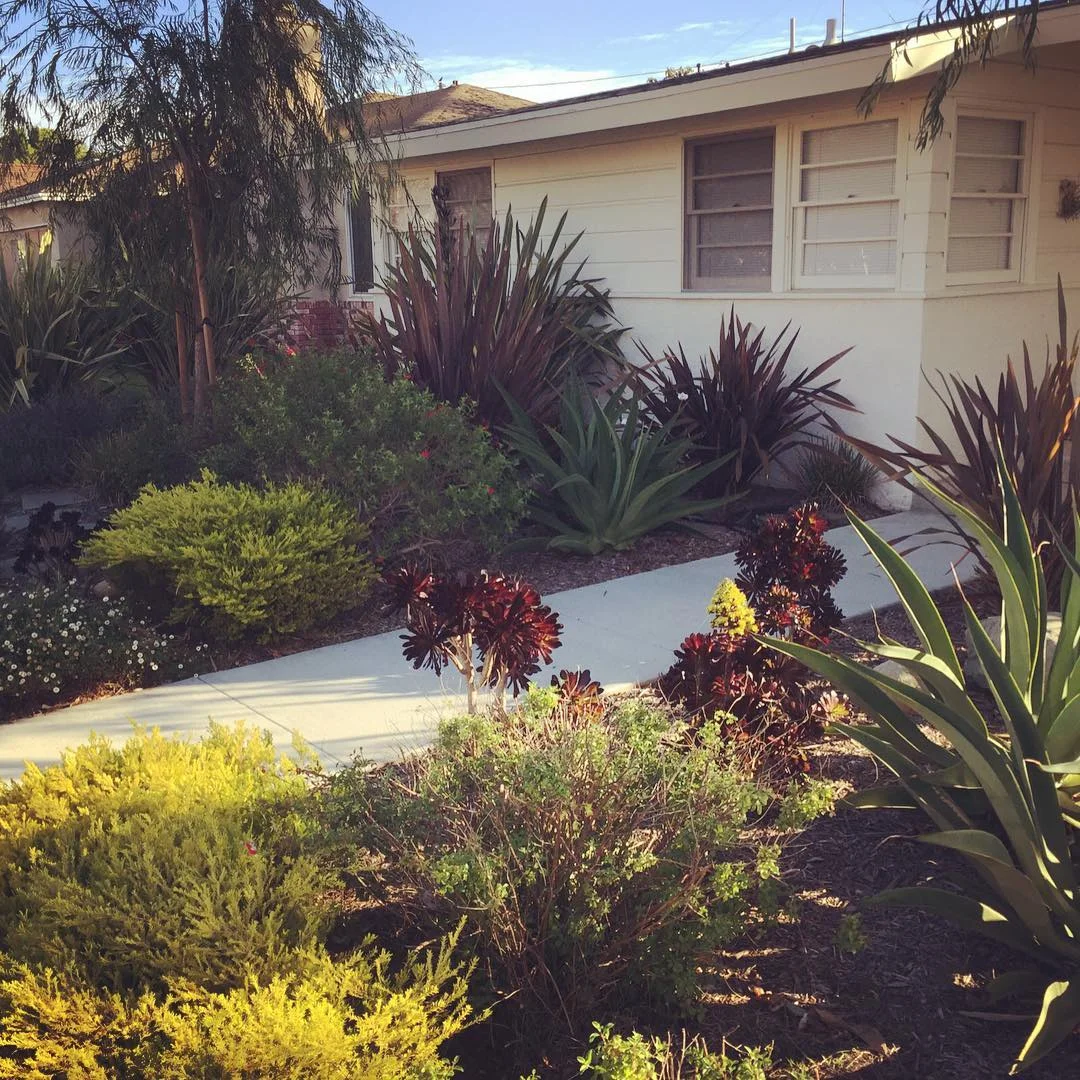 California Garden