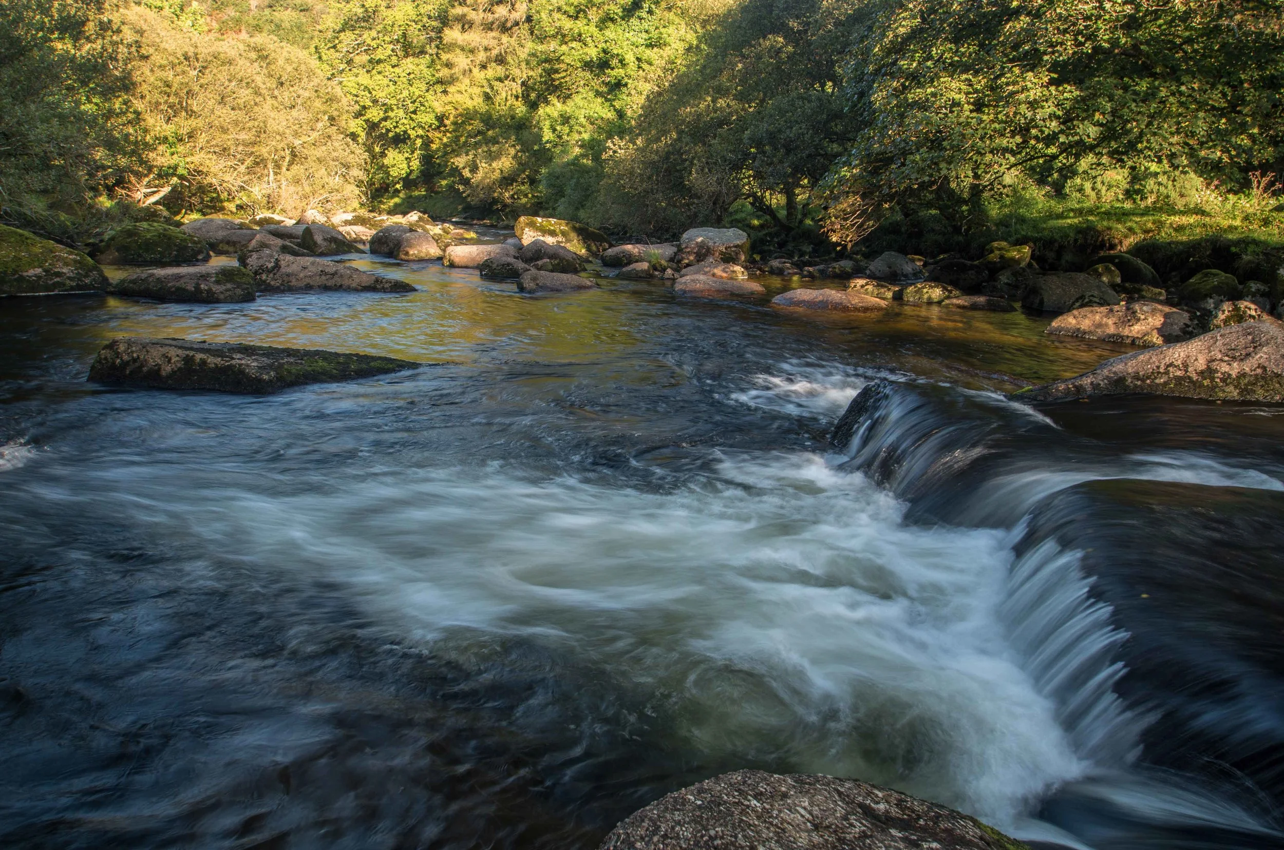 river-dart.jpg
