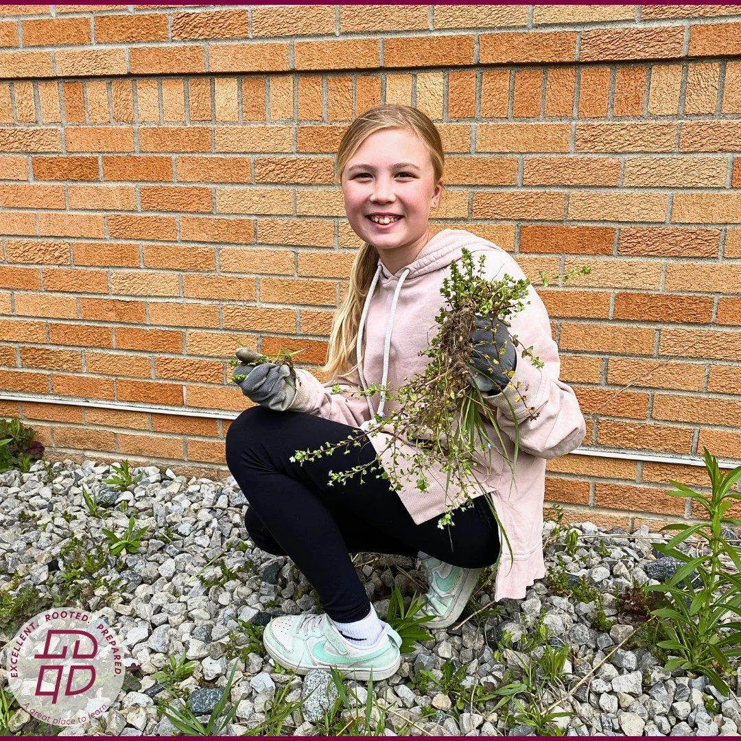 Fifth-grade students are putting their learning about native and invasive plants into action! They&rsquo;re caring for our courtyard, planting species native to the area, and creating infographics to share important information!  #bccs #bccsmiddlesch