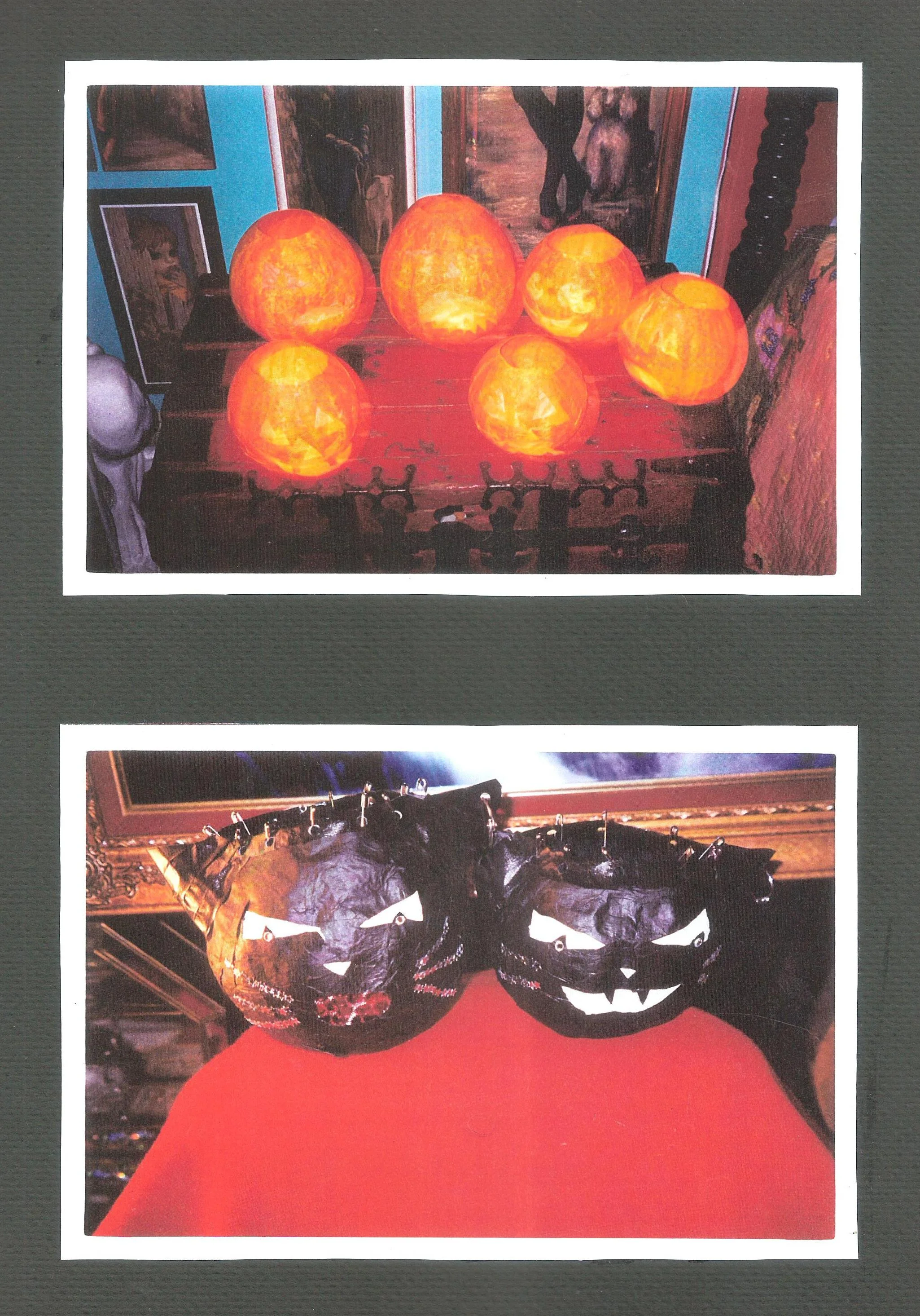 PUMPKINS AND CATS 001.jpg