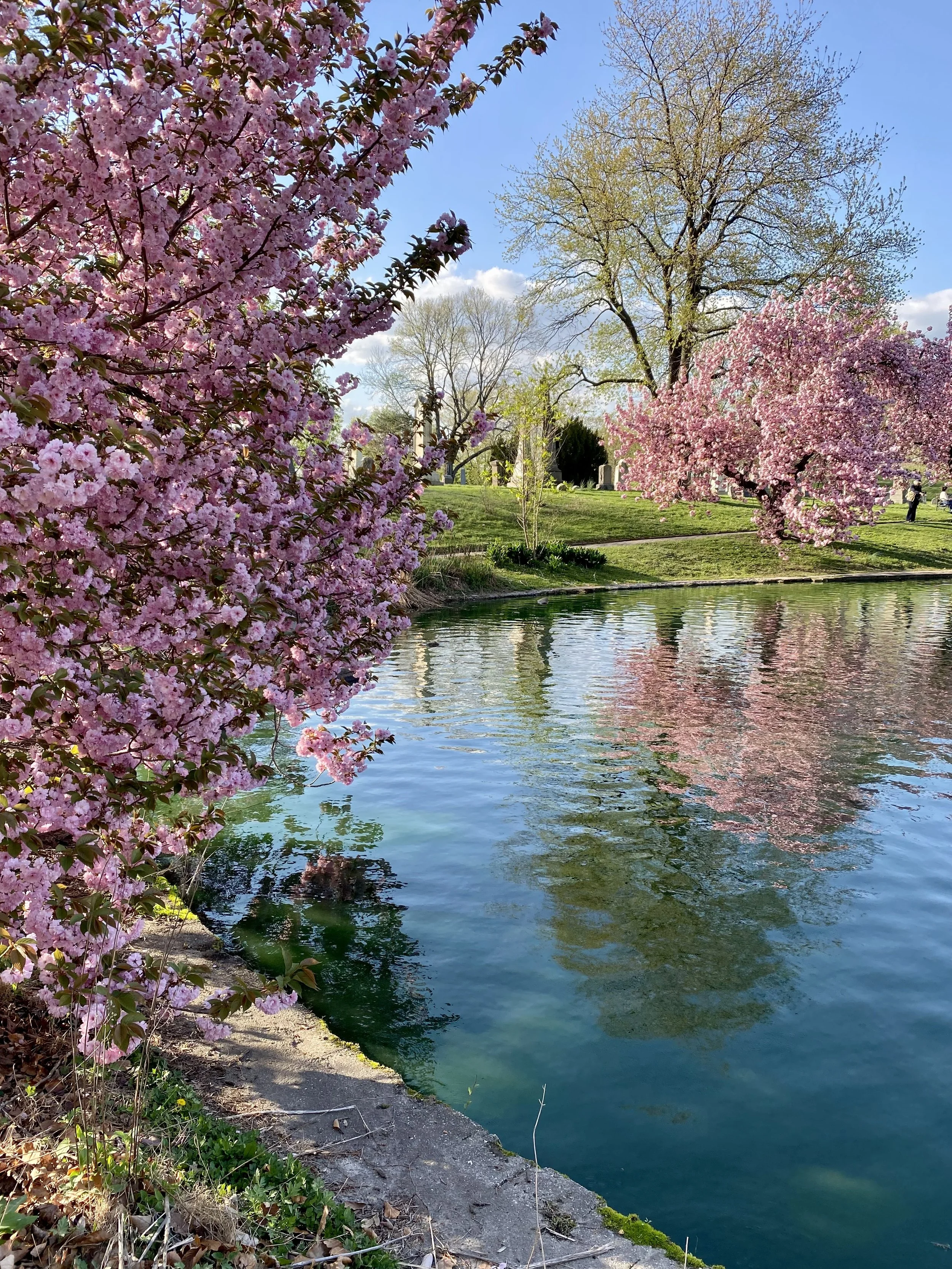 My Letter to "The New Yorker" on Green-Wood Cemetery