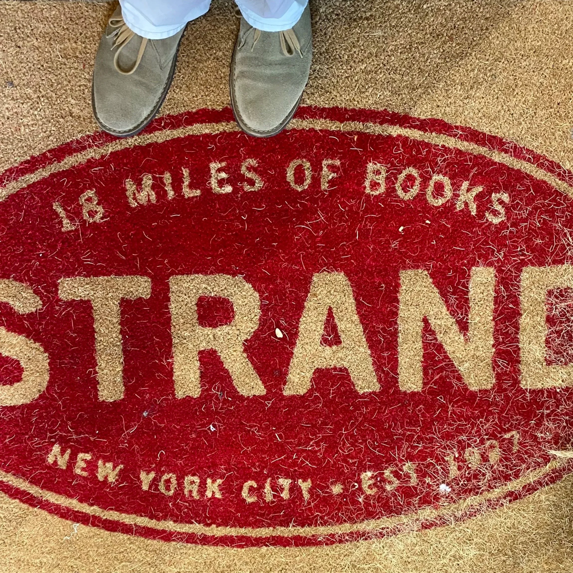 Michael Quinn's Essay on Strand Day