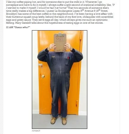 opinionator 8.JPG