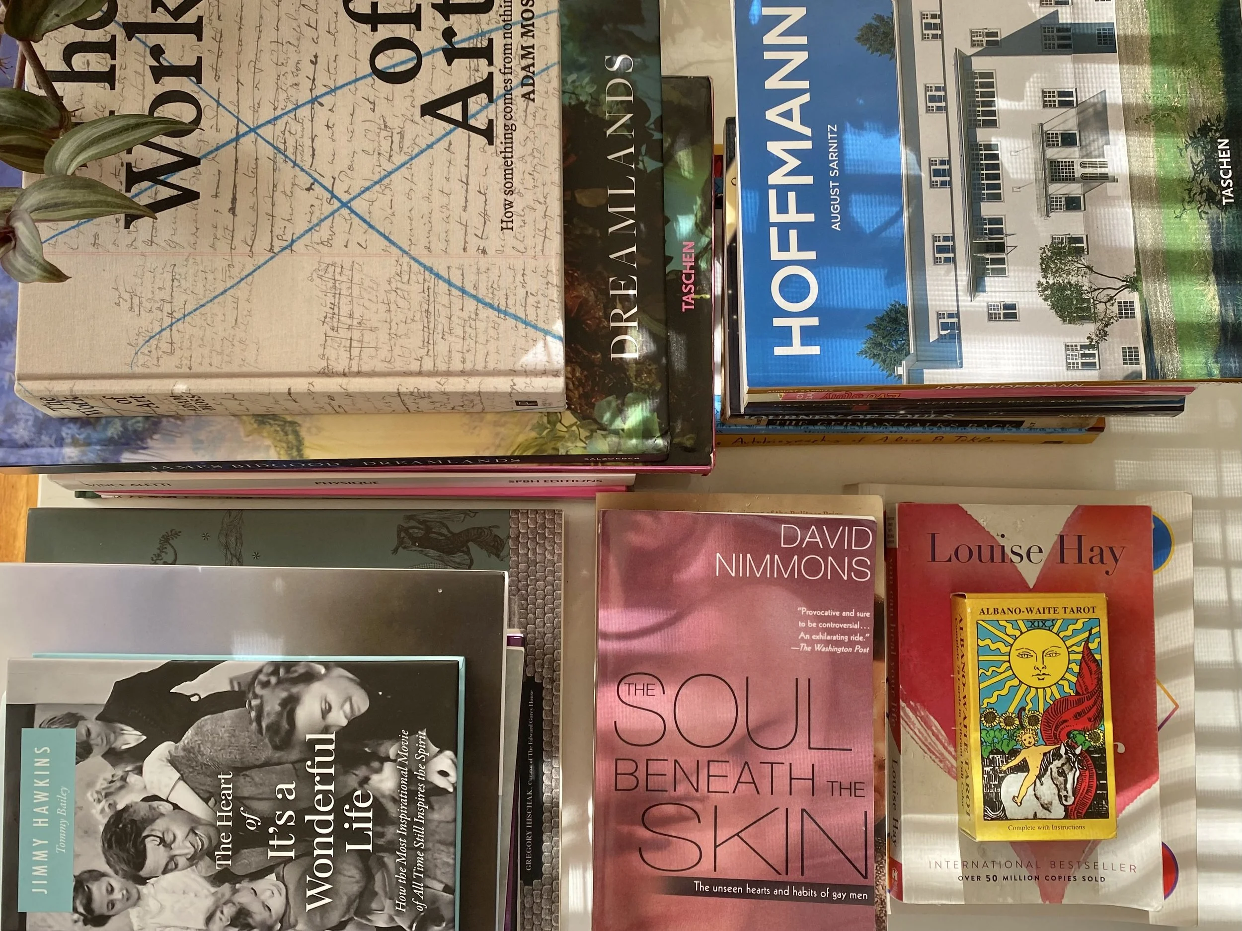 Critical Influences Book Reviews Header, photo by Michael Quinn.jpeg