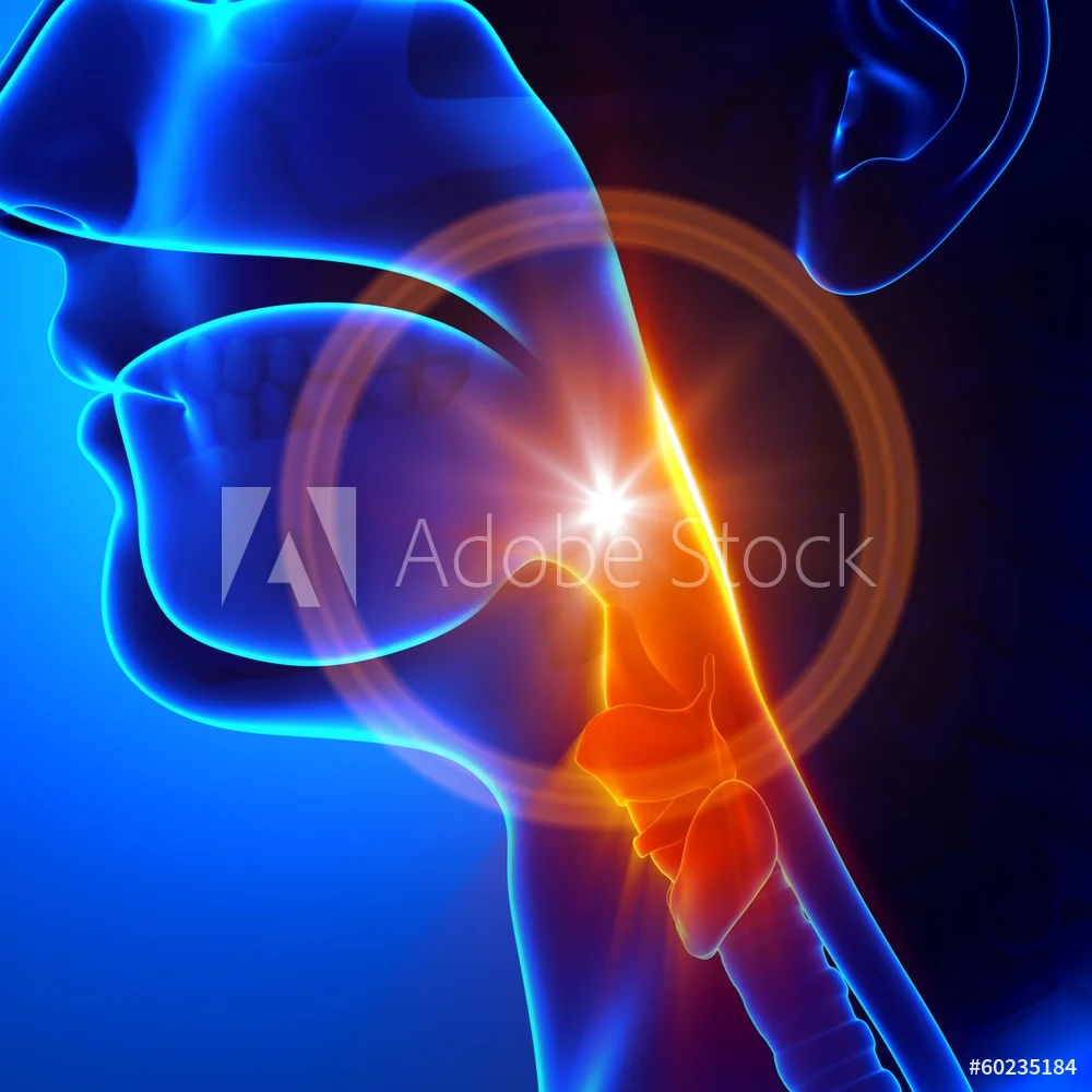 throat preview.jpeg