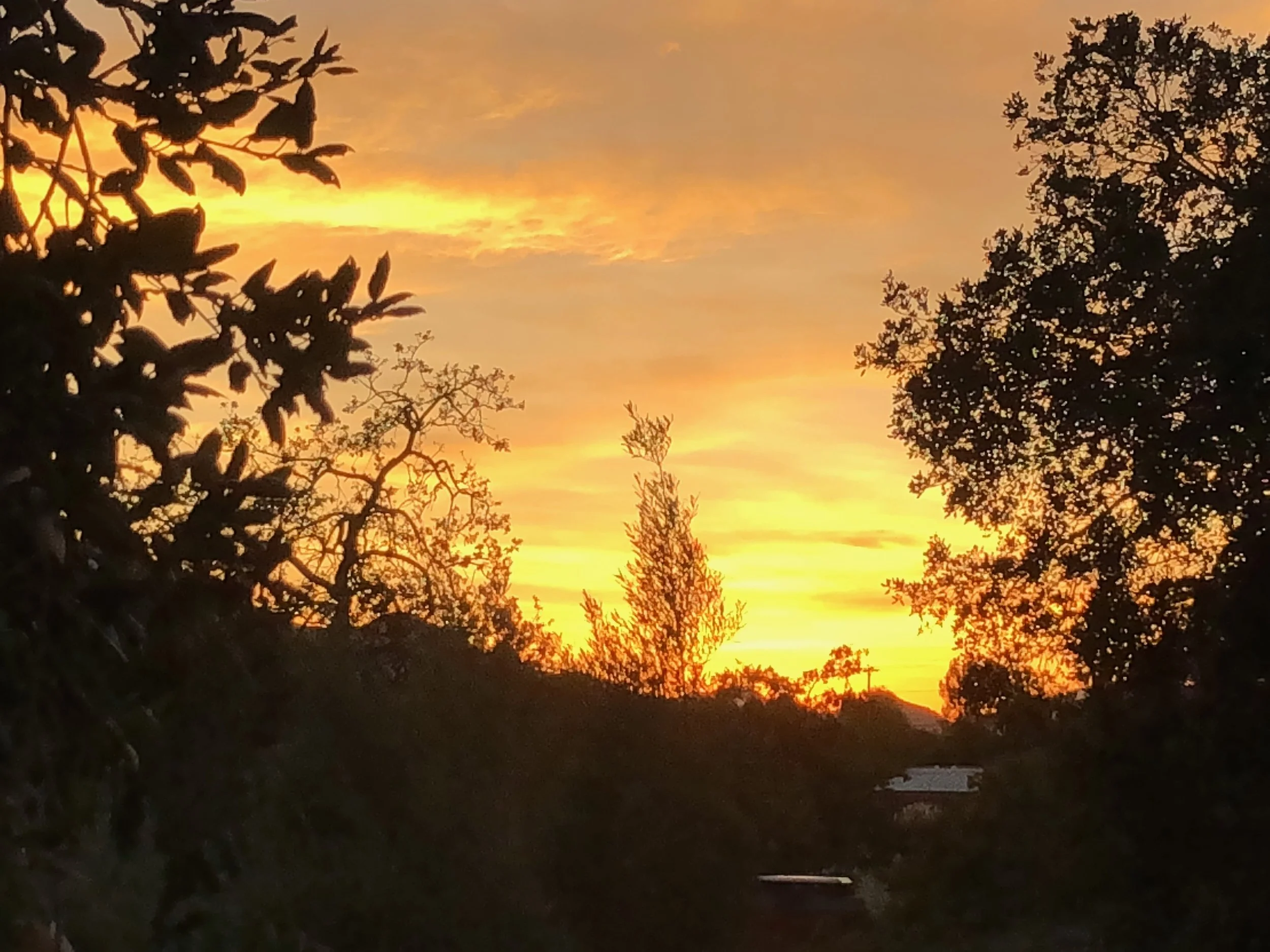 The SelfCare Absence Trap — Kimberly Wick Therapy