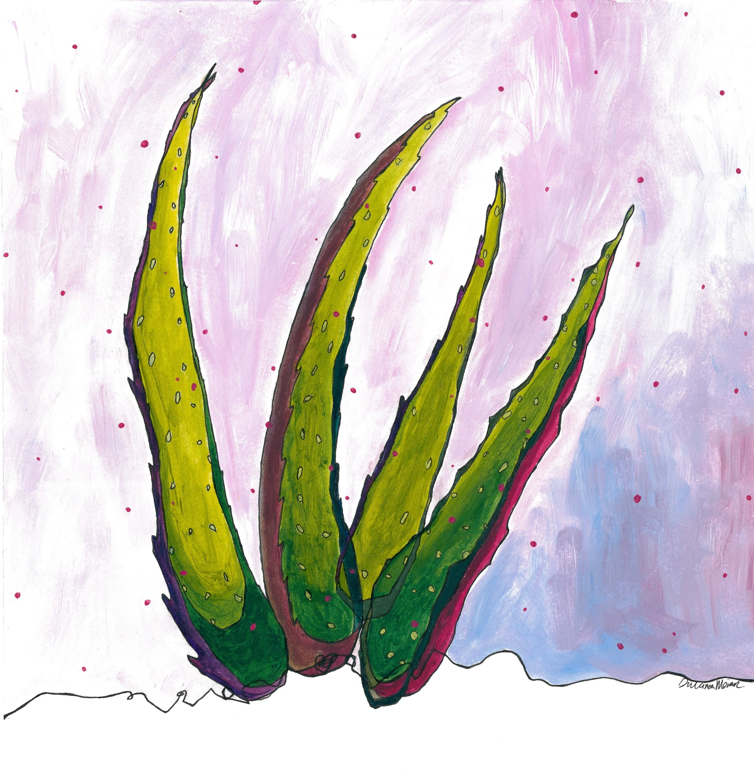 Aloe no. 1