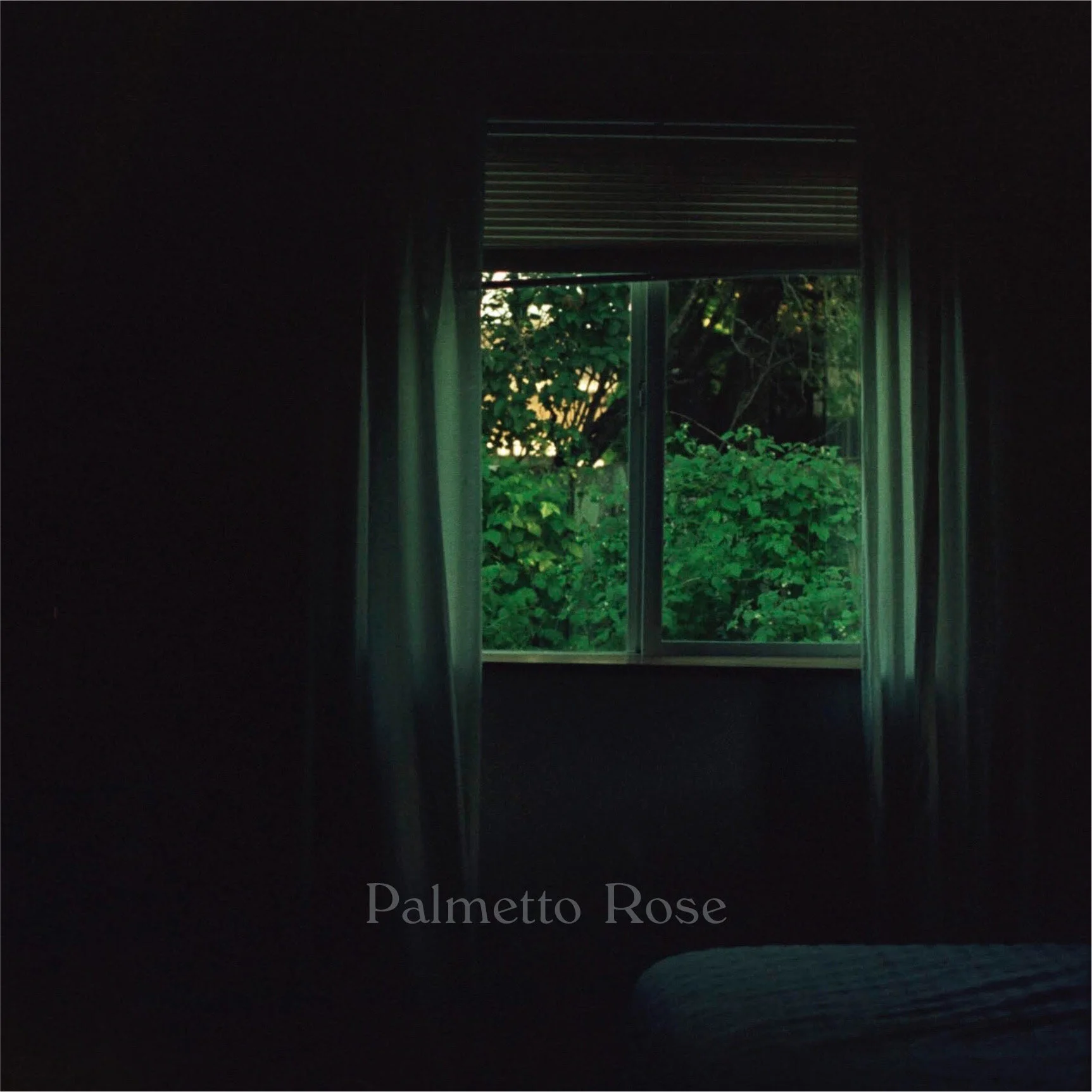 RYAN HUFF SOUND_PALMETTO ROSE_EP_LIGHTER-02.jpeg