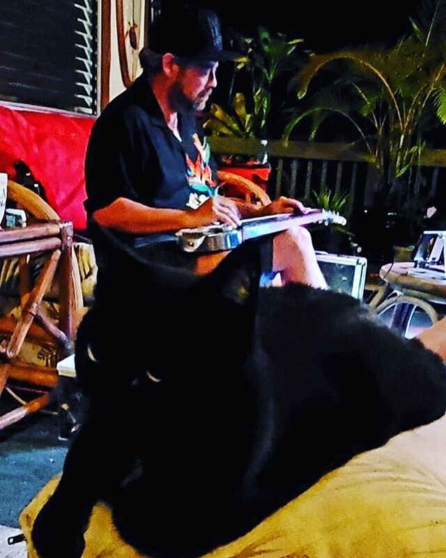 Hawaiian Steel Guitar with Blackie The Cat Listening #hawaiianlapsteel #blackcat #colinjohnmusic