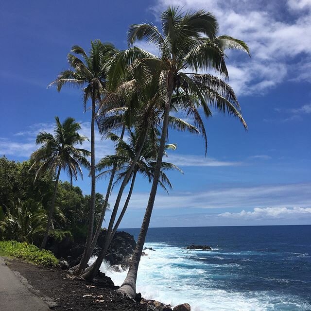 A beautiful day in Hawai&rsquo;i Nei #hawaiilife #puna #kamuela #pohoiki #hawaiinei #steelguitar #bigisland #colinjohnmusic #nahenahe #aloha #maunawākea
