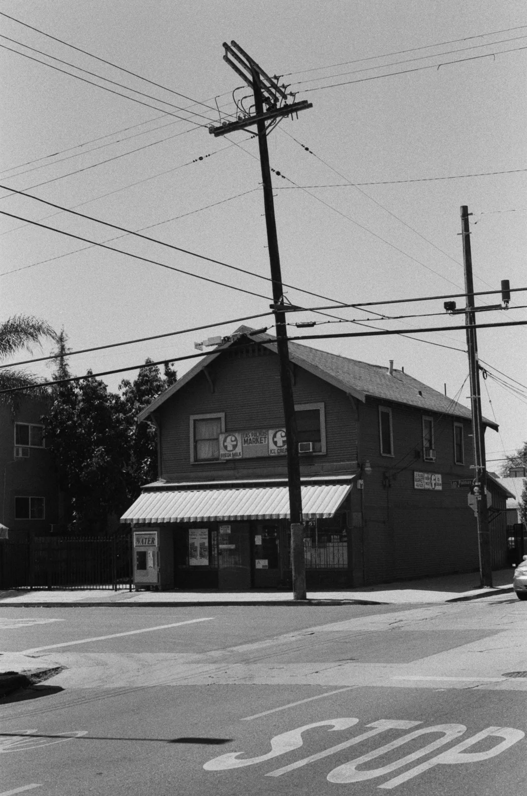  Camera: Canon AE-1 Program  Film Type: Lomography Berlin Kino 400 