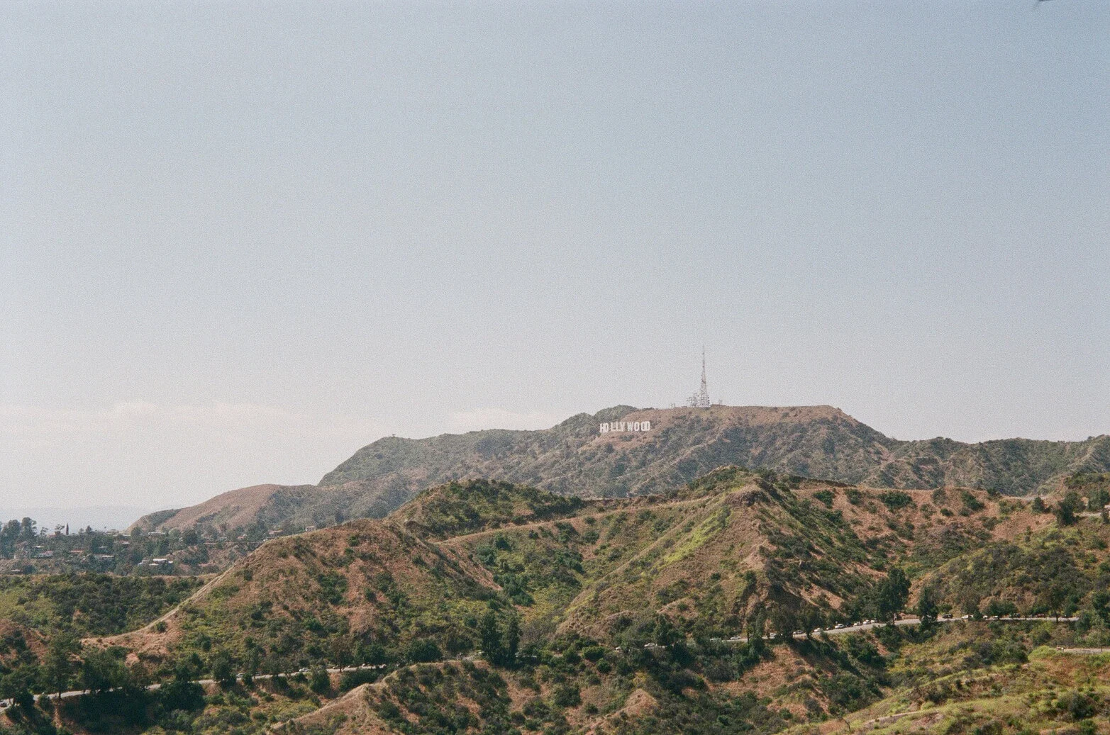  Camera: Fujifilm Natura Classica   Film Type: Fujicolor Natura 1600 