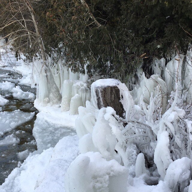 An absolutely beautiful day for hiking in Newport State Park, Door County