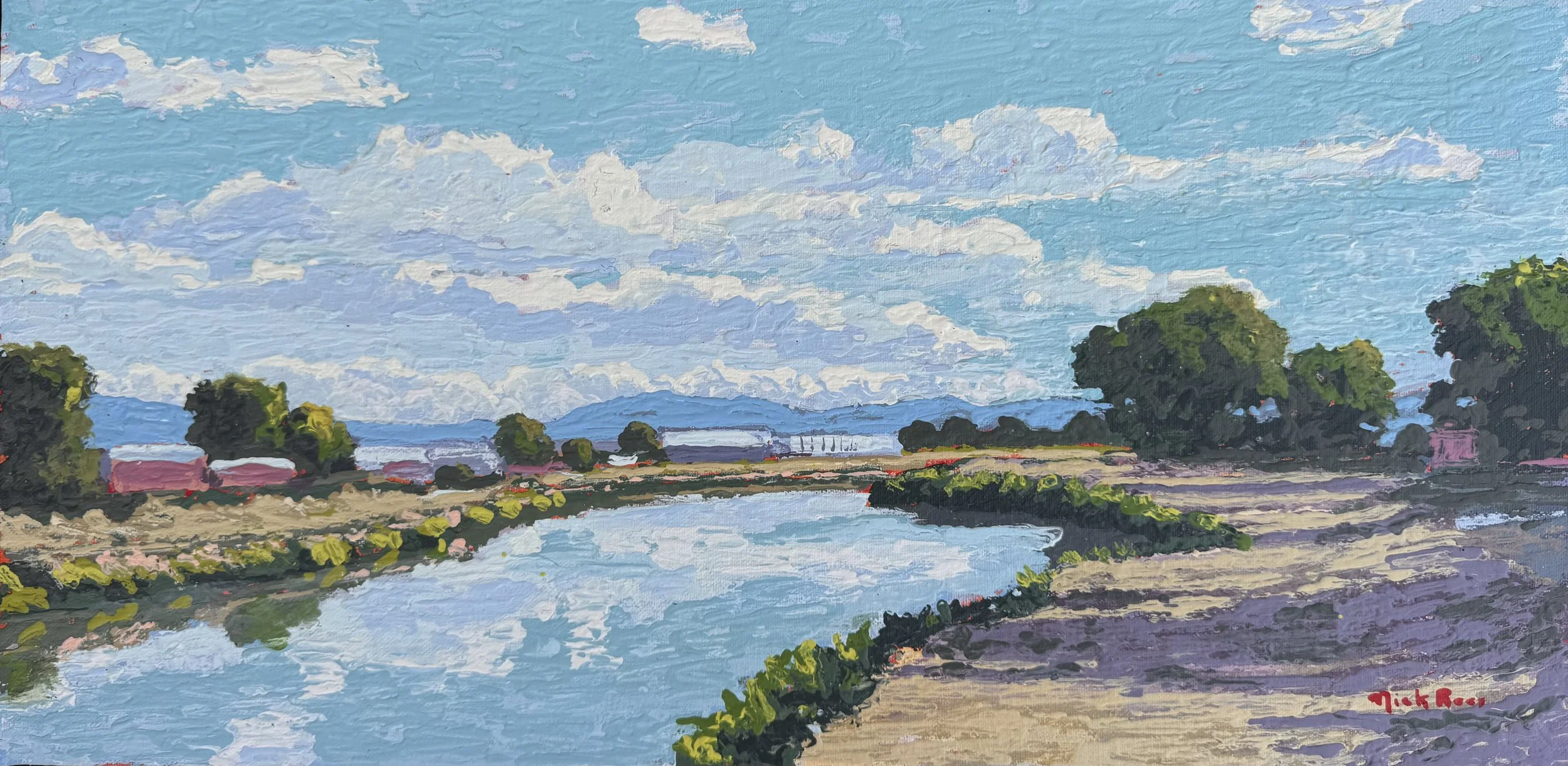 Summers Day Reflections 12x20 acrylic
