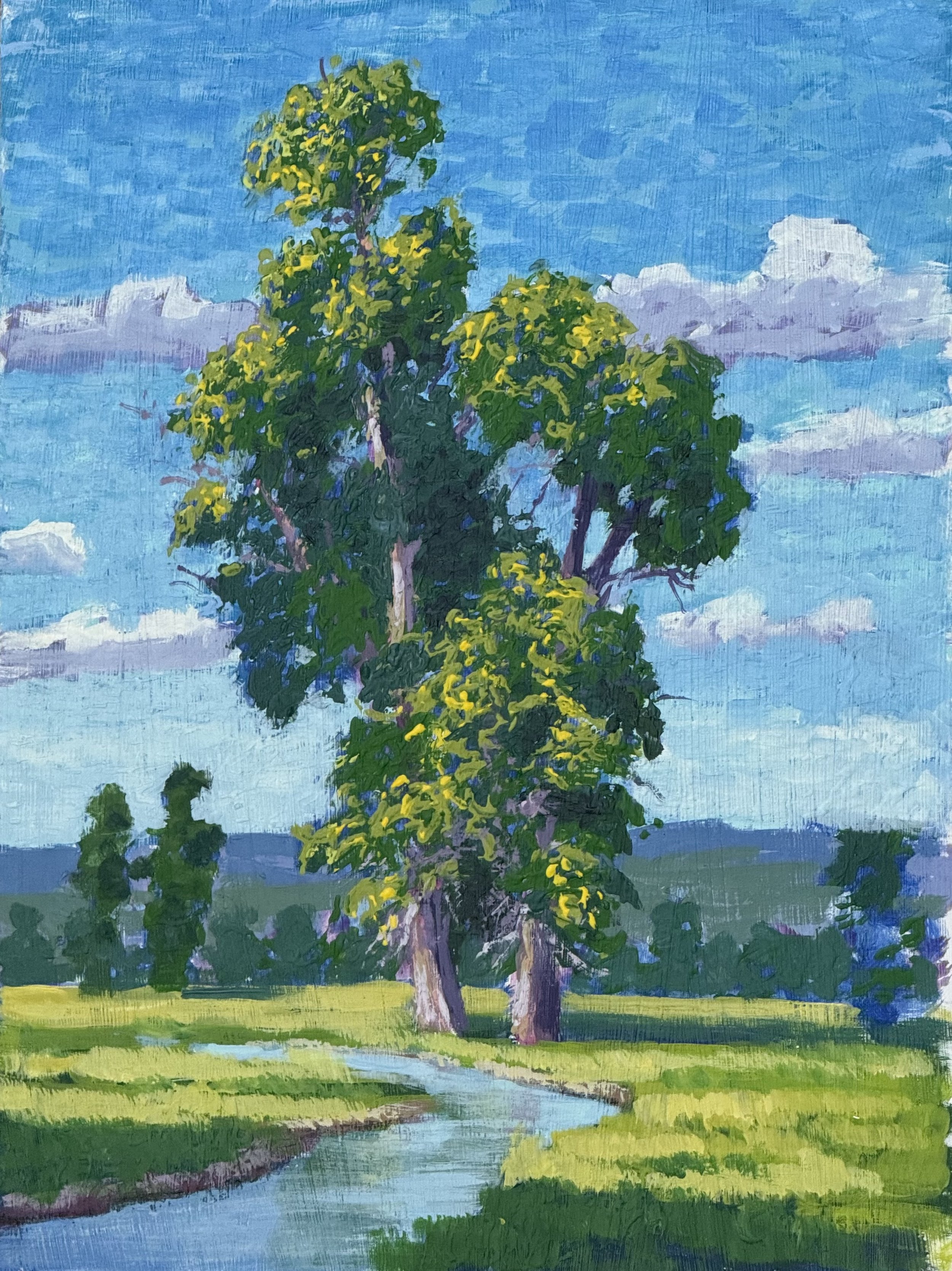 Lone Cotton Wood 16x12 oil