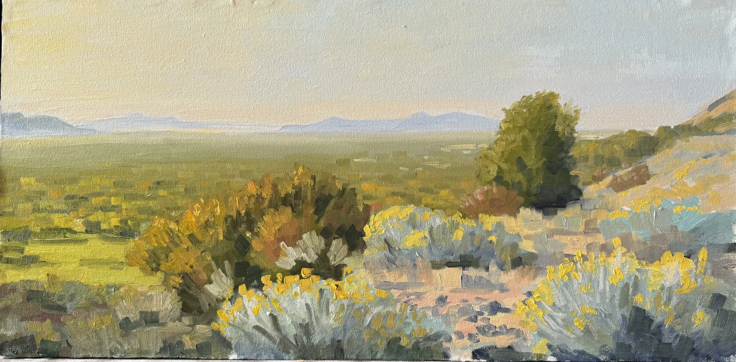 Valley view 12x24 oil