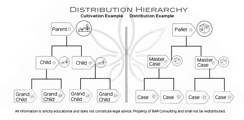 PART 2: THE MOST COMMON METRC TRANSITION CHALLENGES ACROSS THE SUPPLY CHAIN