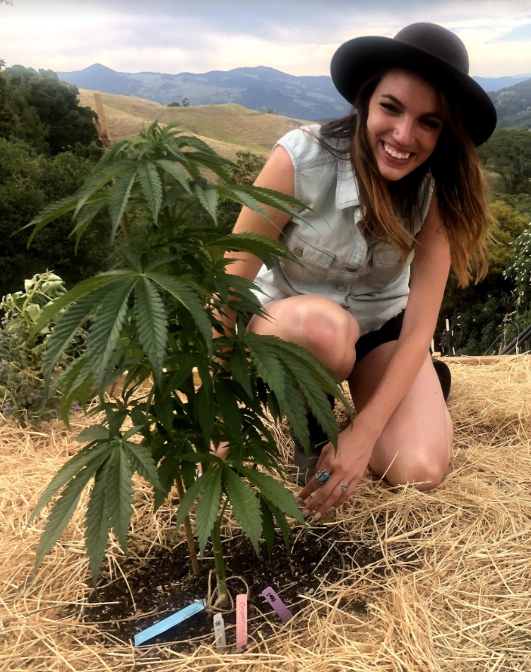 METRC Implementation at Moonmade Farms