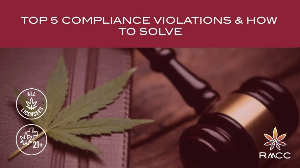 Who Can You Rely On During An Investigative Audit? 
