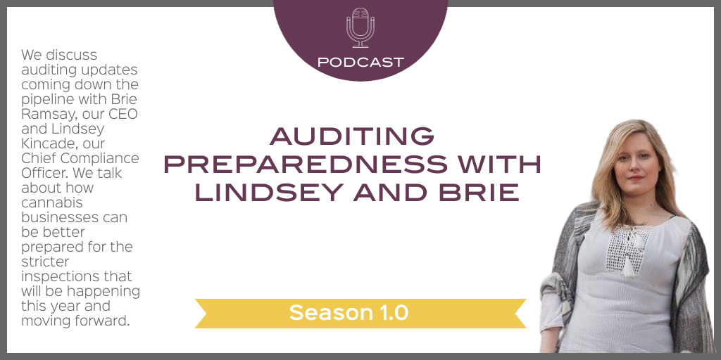 Auditing Preparedness with Lindsey and Brie of RMCC