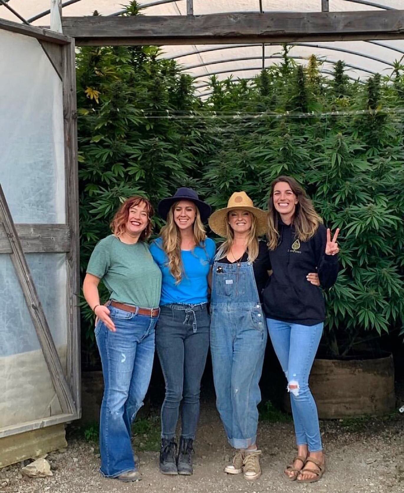 Boss canna ladies growing beautiful sun grown is our favorite🌿✨

Women-led and family-owned, @dewpoint_humboldt is Humboldt County legacy raised with back-to-the-land farmer ethics

DewPoint is a multi-generational craft cannabis estaste nestled on 