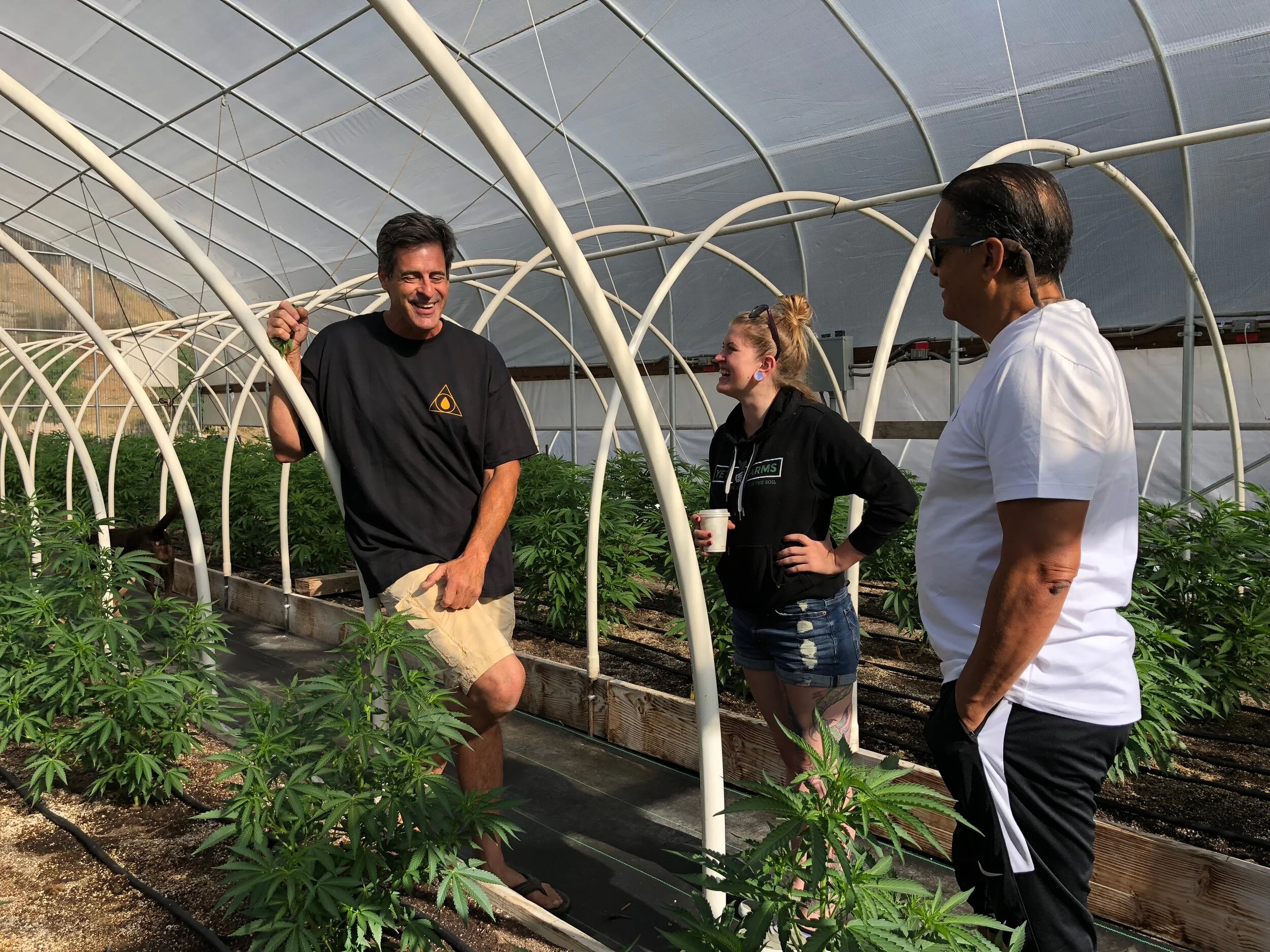 What You Need to Know: California's New Metrc Regulations Required Now