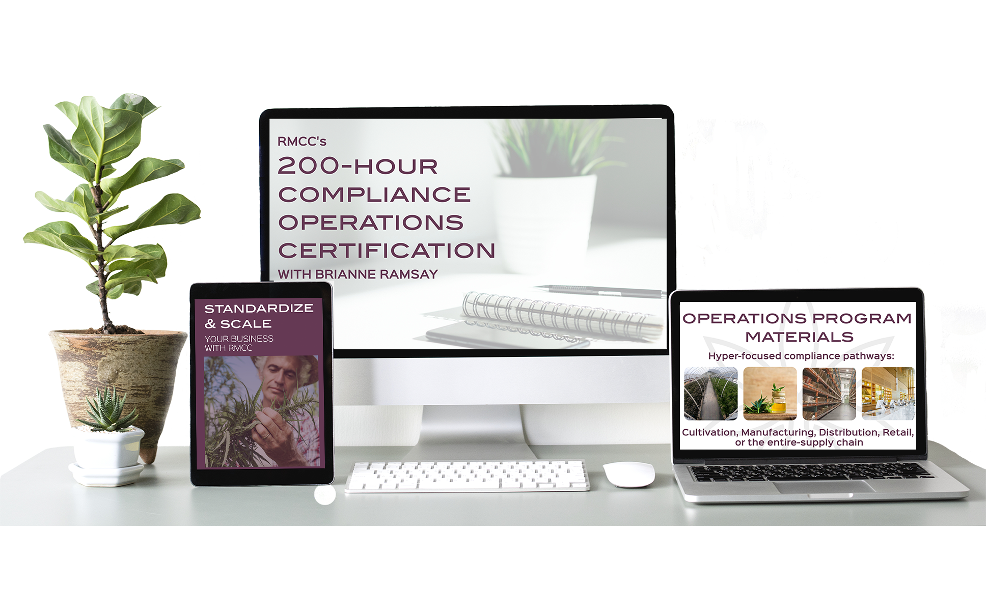 Real Life Solutions For Perfect World Regulations