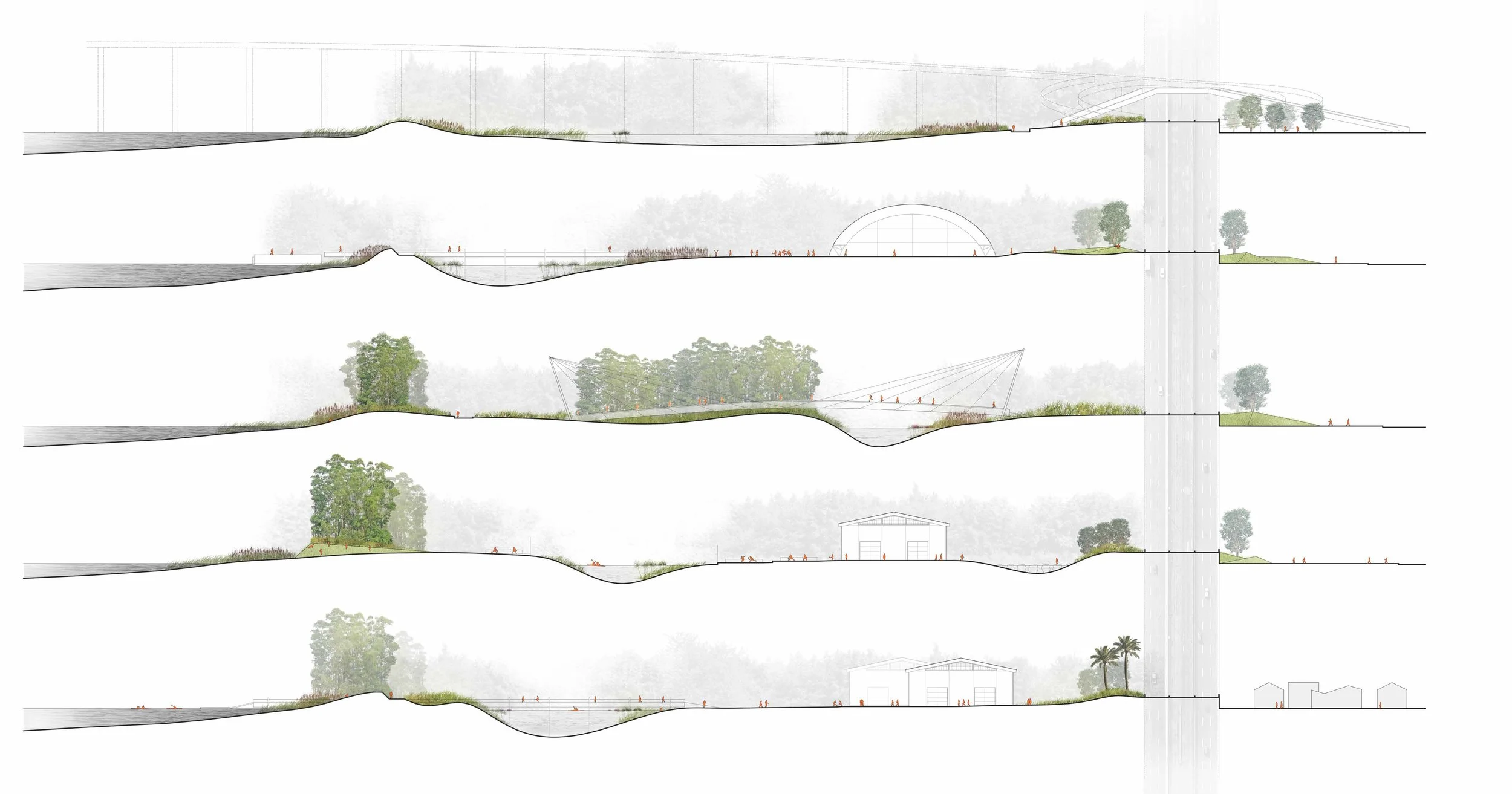 Transversal Sections