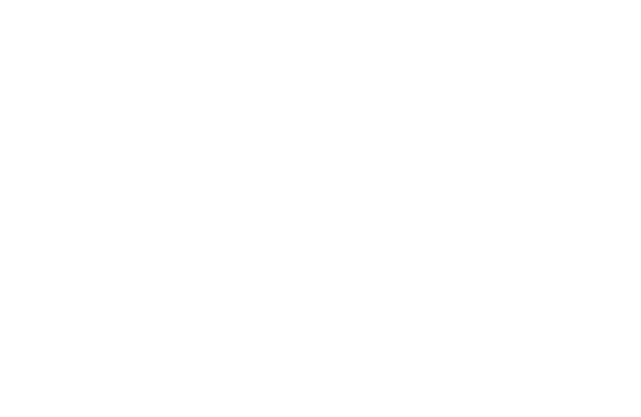 2Travois_white-01.png