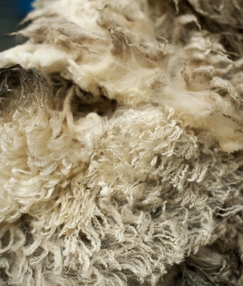 What we do — H. Dawson