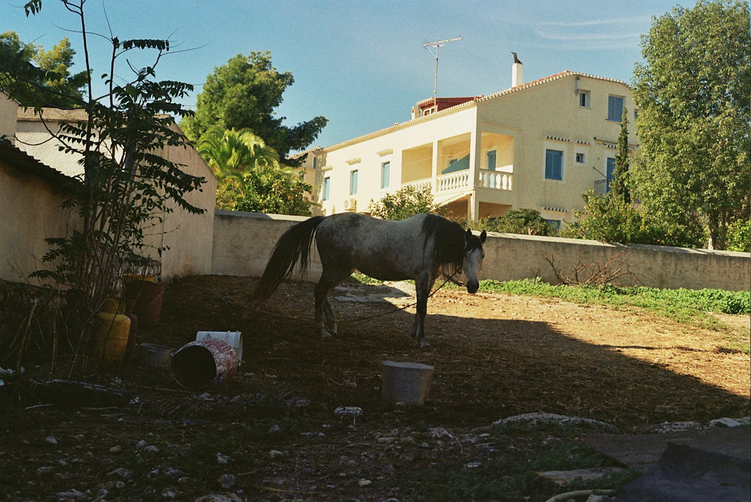 _6A_0041.jpg