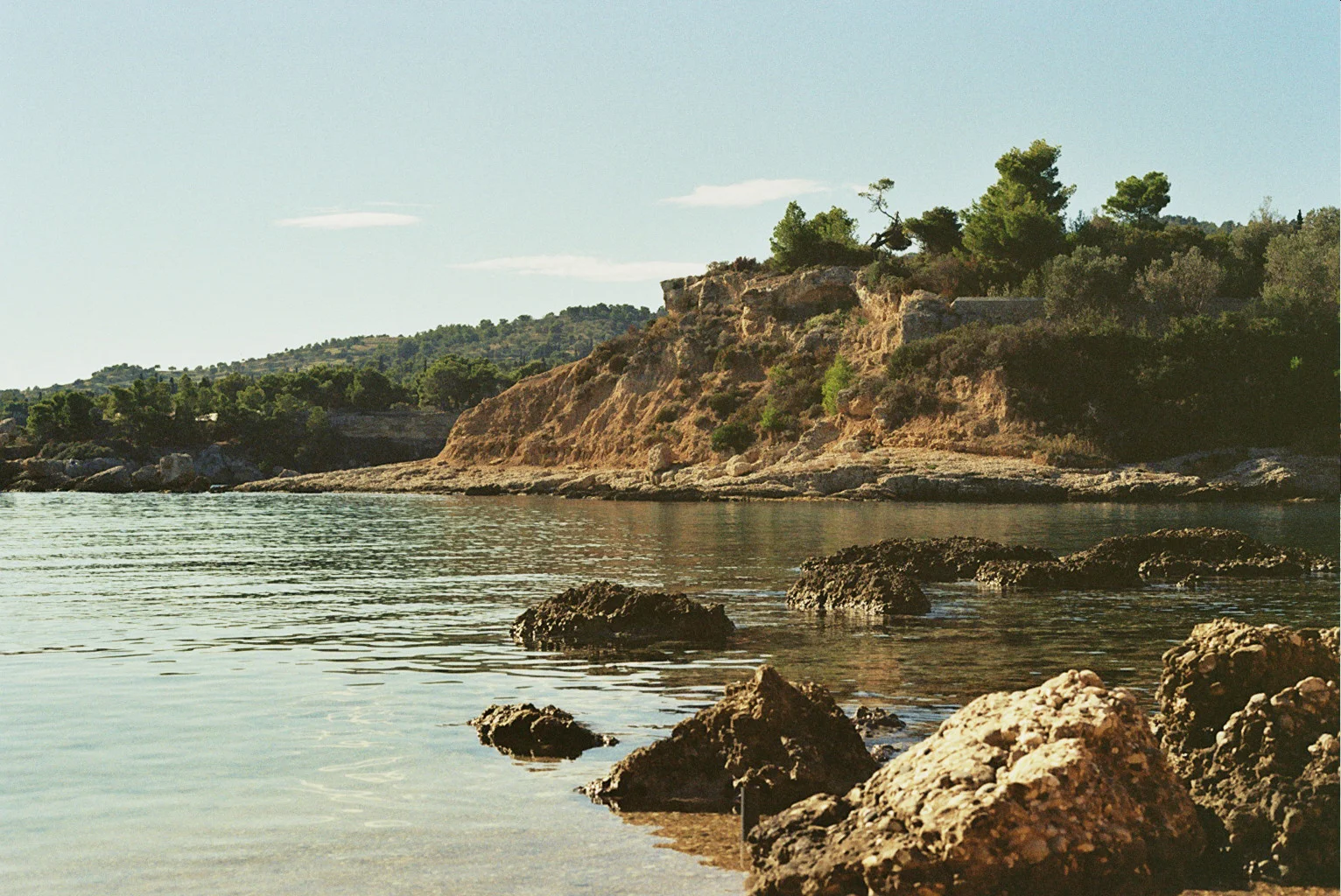 _7A_0042.jpg