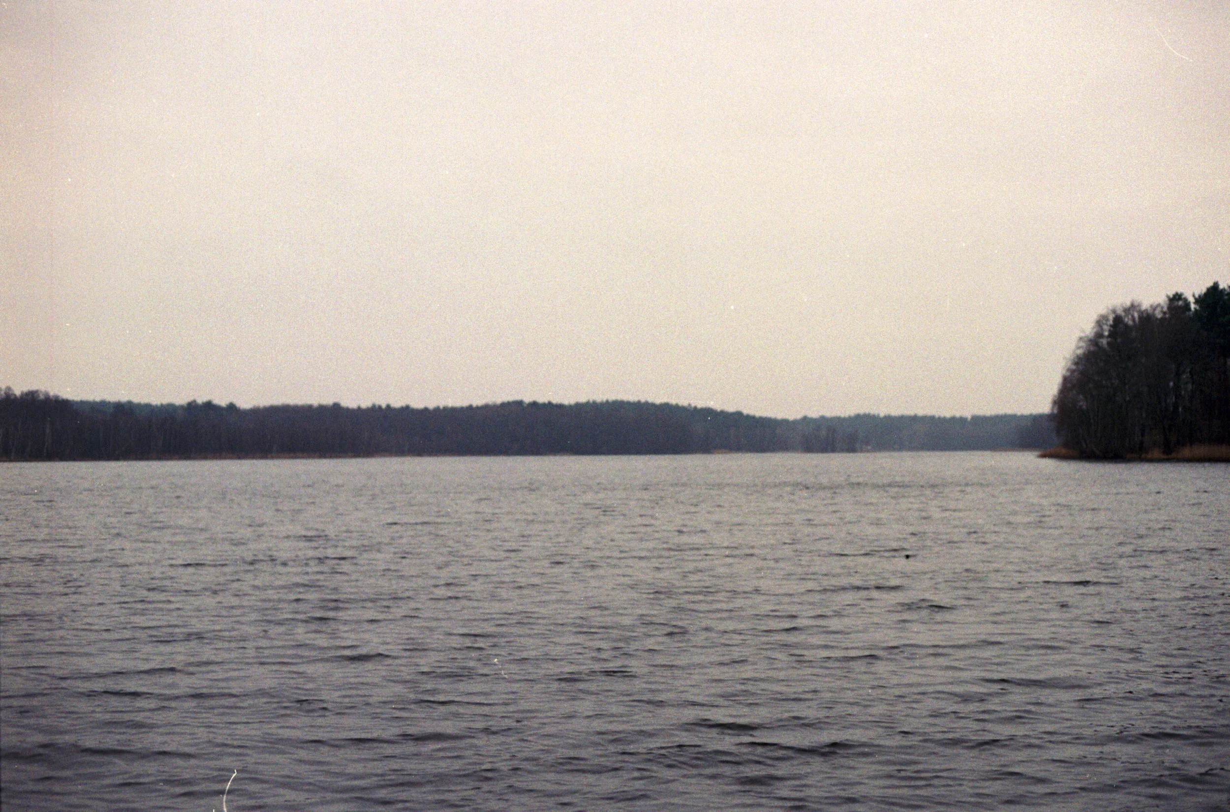53.jpg