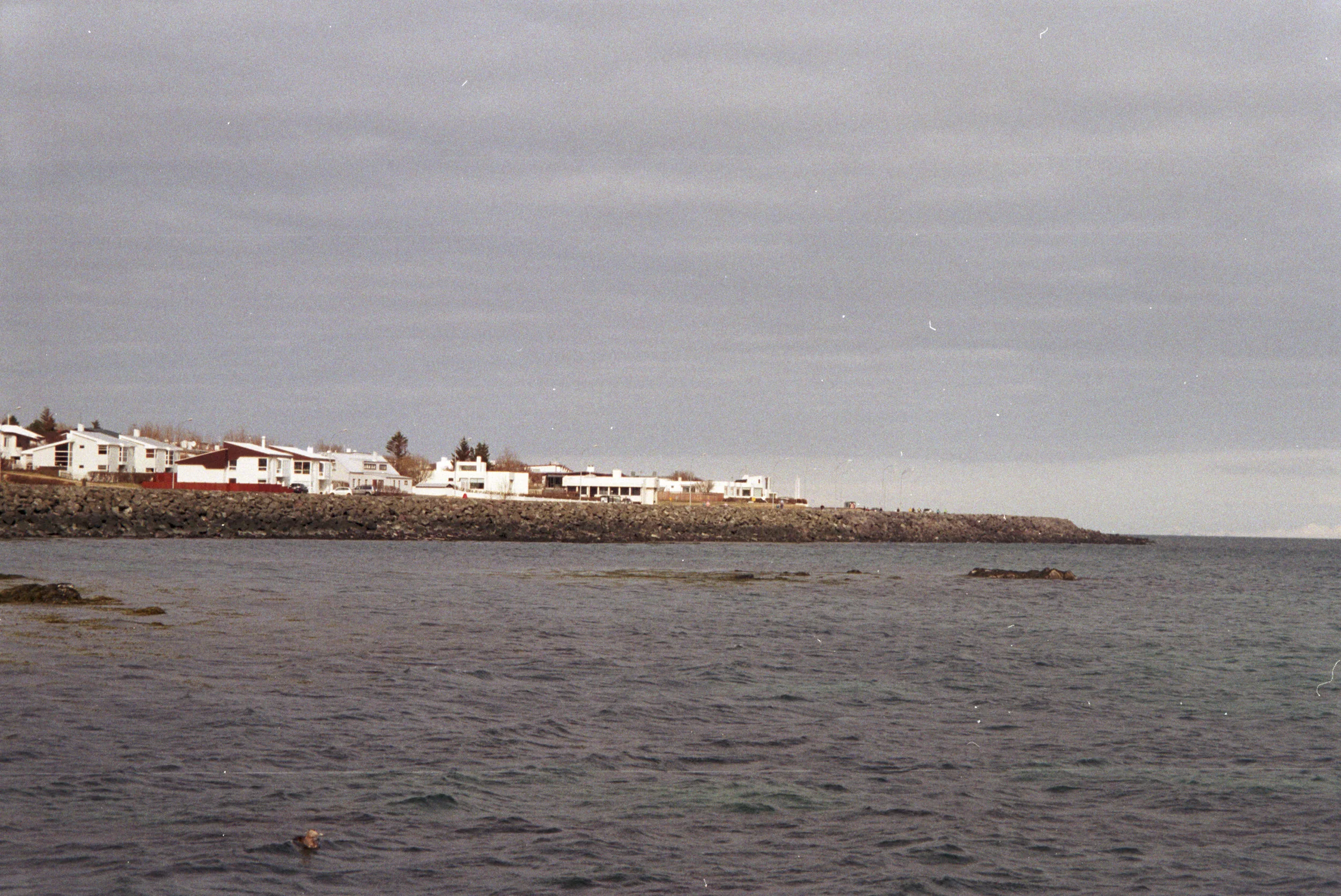 R (19).jpg