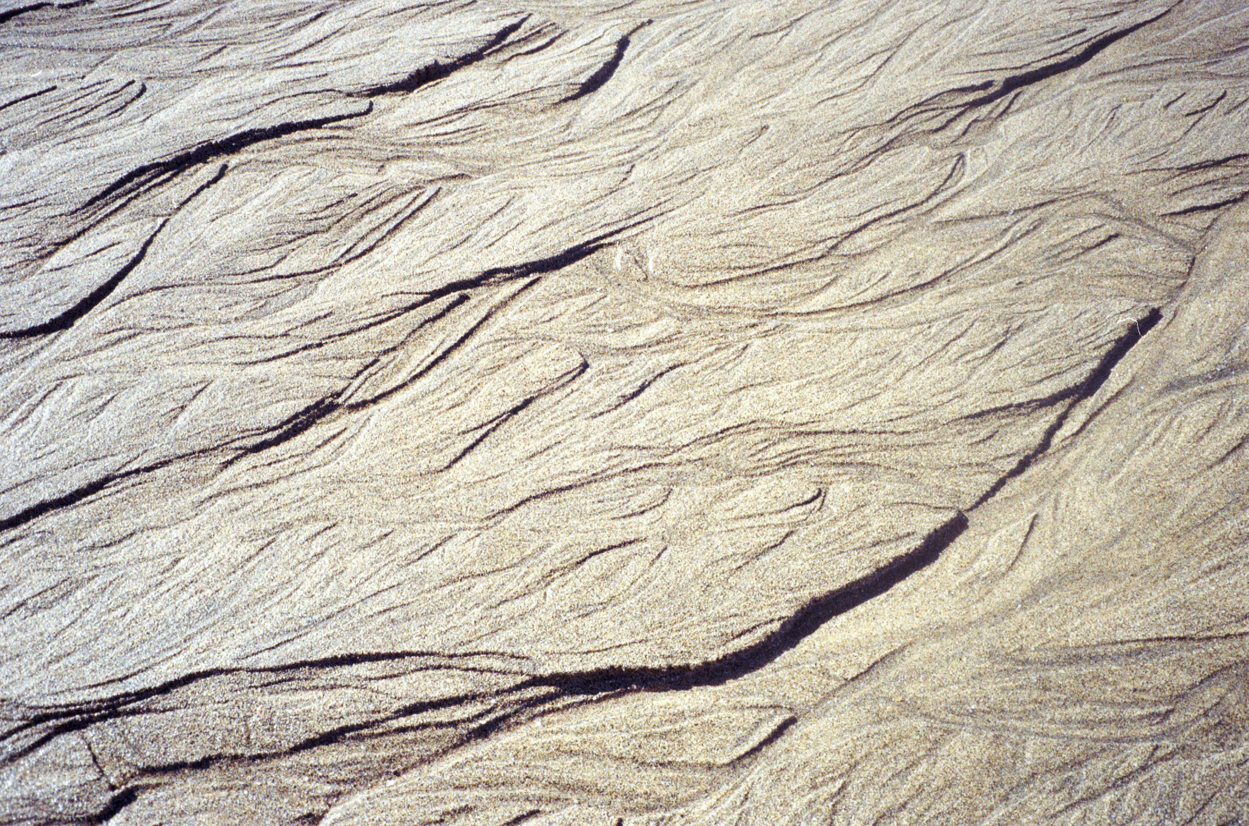 R (102).jpg