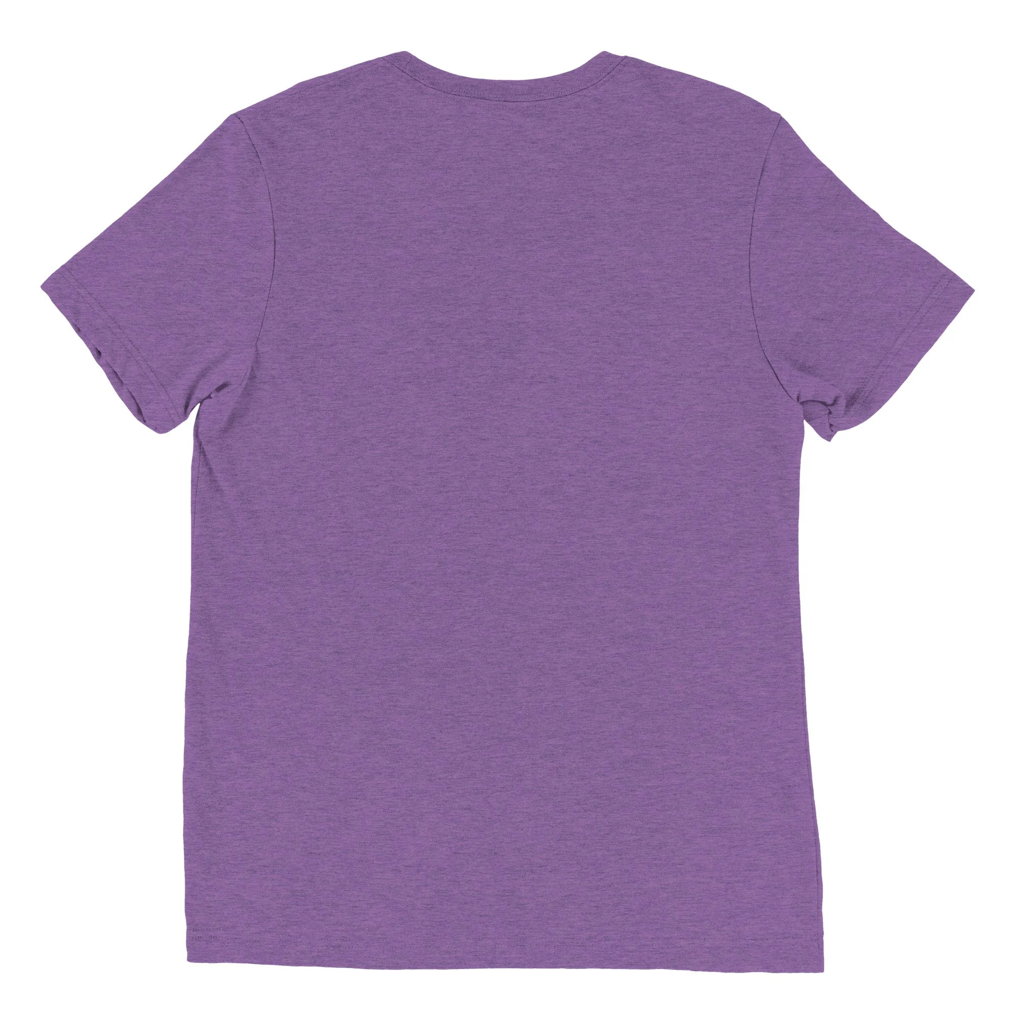 unisex-tri-blend-t-shirt-purple-triblend-back-6988af44b1cd6.jpg