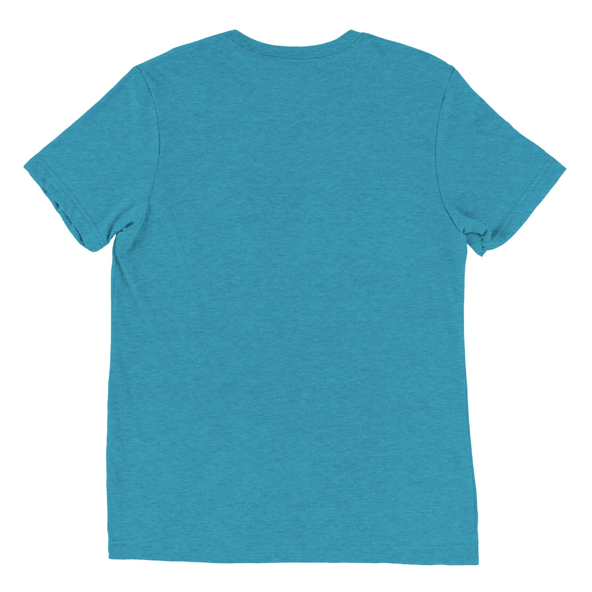 unisex-tri-blend-t-shirt-aqua-triblend-back-6988af44ba421.jpg