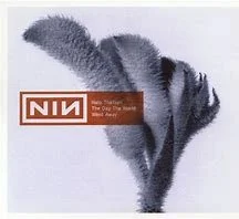 Nine Inch Nails - The Day The World Went Away